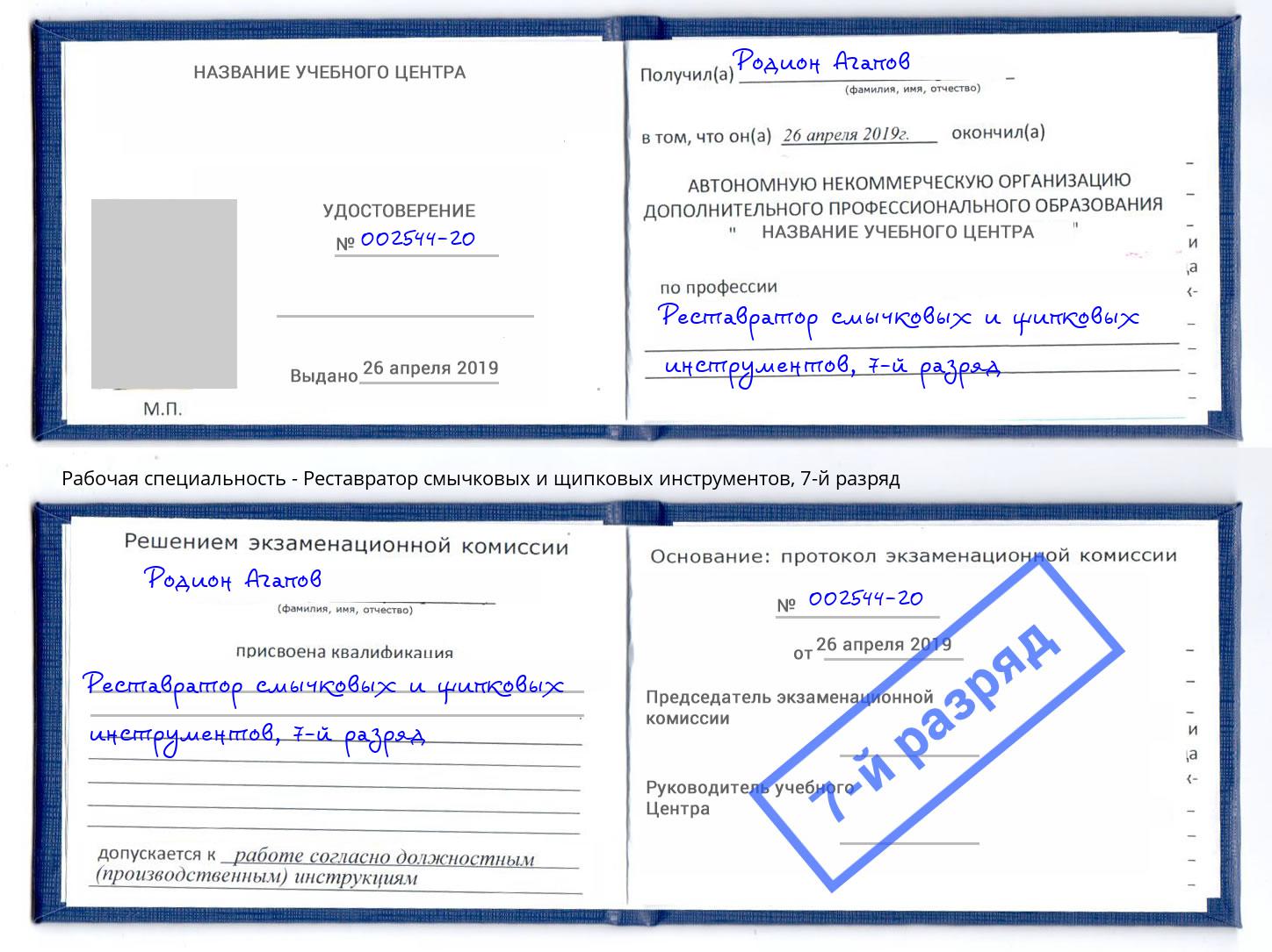 корочка 7-й разряд Реставратор смычковых и щипковых инструментов Краснодар