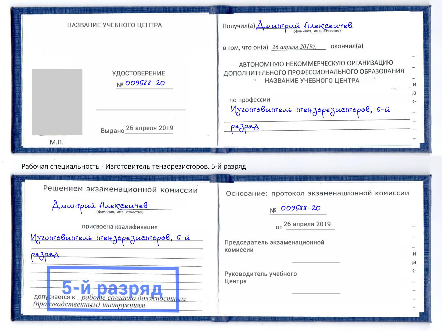 корочка 5-й разряд Изготовитель тензорезисторов Краснодар